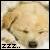 :iconpixie28: