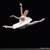 :iconpixiedoll106: