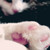 :iconpixiedrunk: