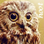 :iconpixiedust5: