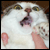 :iconpixielynn: