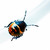 :iconpixlmania: