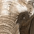 :iconpixsurreal: