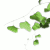 :iconPizzaboy1304: