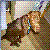 :iconpizzafanatic16: