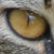 :iconpjheodtio: