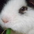 :iconpjisasexybeast: