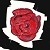 :iconpjollen: