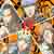:iconpkmnp4lover: