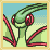 :iconpkmystic: