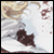 :iconpkstar:
