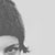 :iconplaasticine: