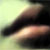 :iconplacebit: