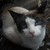 placeusernamehere :iconplaceusernamehere: