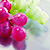 :iconplacid9: