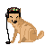 :iconpladhat: