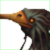 :iconplague-wolf: