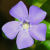 :iconplanet2003ub313: