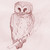 :iconplanetgogo: