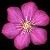 :iconplanetpeace: