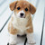 :iconplanetpuppy: