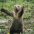 :iconplangway3:
