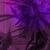 :iconplantlover: