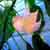 :iconplantsoma: