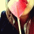 :iconplastic-lov: