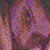 :iconplastic-toy: