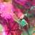 :iconplasticnature: