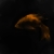 :iconplastikfish: