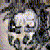 :iconplastikshock: