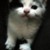 :iconplastinate-people: