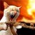 platinger :iconplatinger: