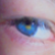:iconplatti: