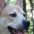 :iconplatykey:
