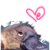 :iconplatyphotoplz: