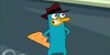 :iconplatypus-ocs: