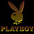 :iconplayboybrunettes: