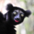 :iconplayer17: