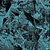:iconplayful84: