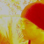 :iconplaymayker88:
