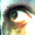 :iconplaymobilprincess: