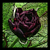 :iconplaywriter: