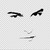 :iconplazmaplex:
