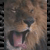 :iconPlea-sure: