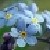 :iconpleaseforgetme: