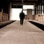 :iconpleasurefoto: