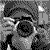 :iconpleasuregrapher: